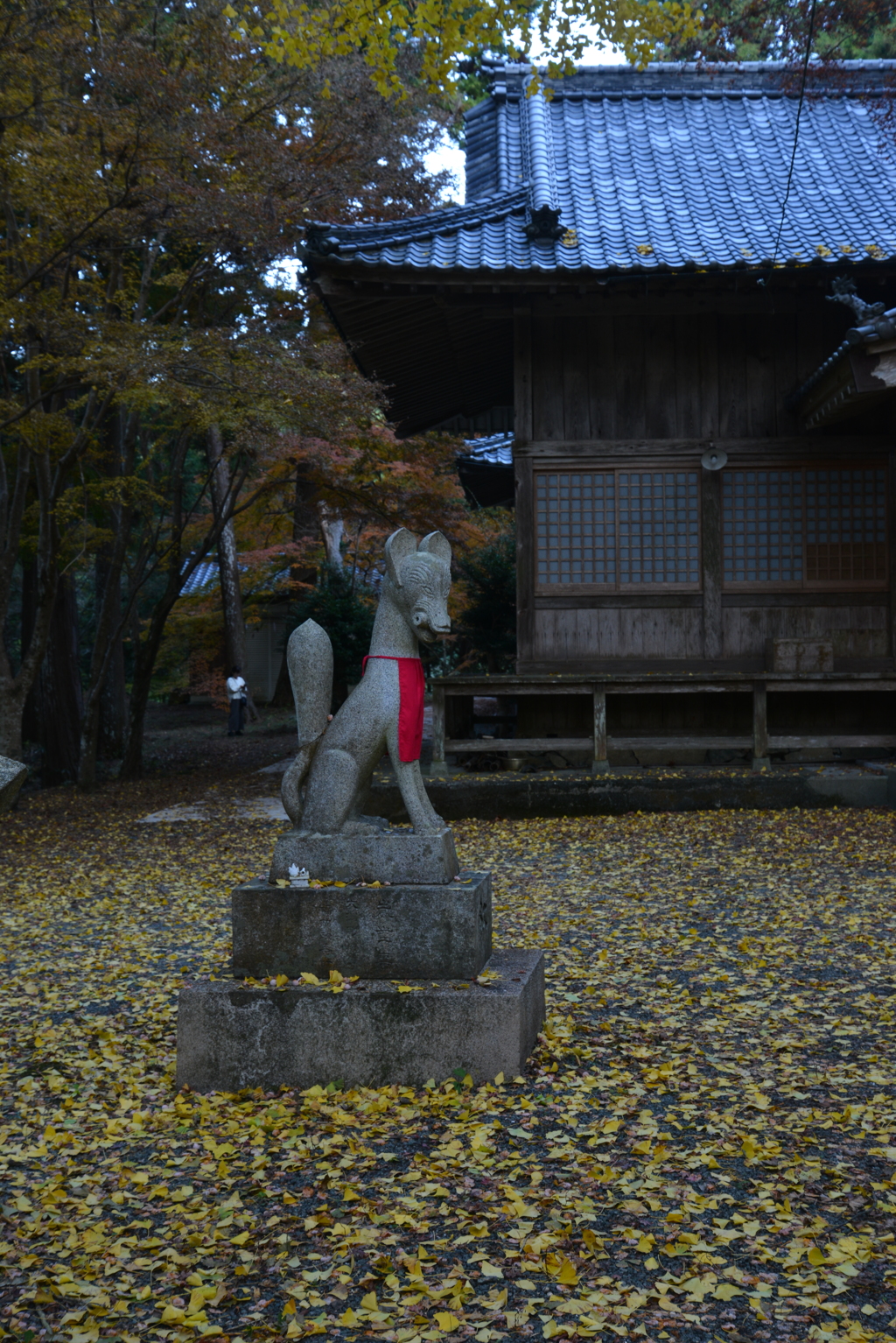 晩秋の迷宮への招待　➂。。。！