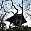嵯峨野点描③。。。！