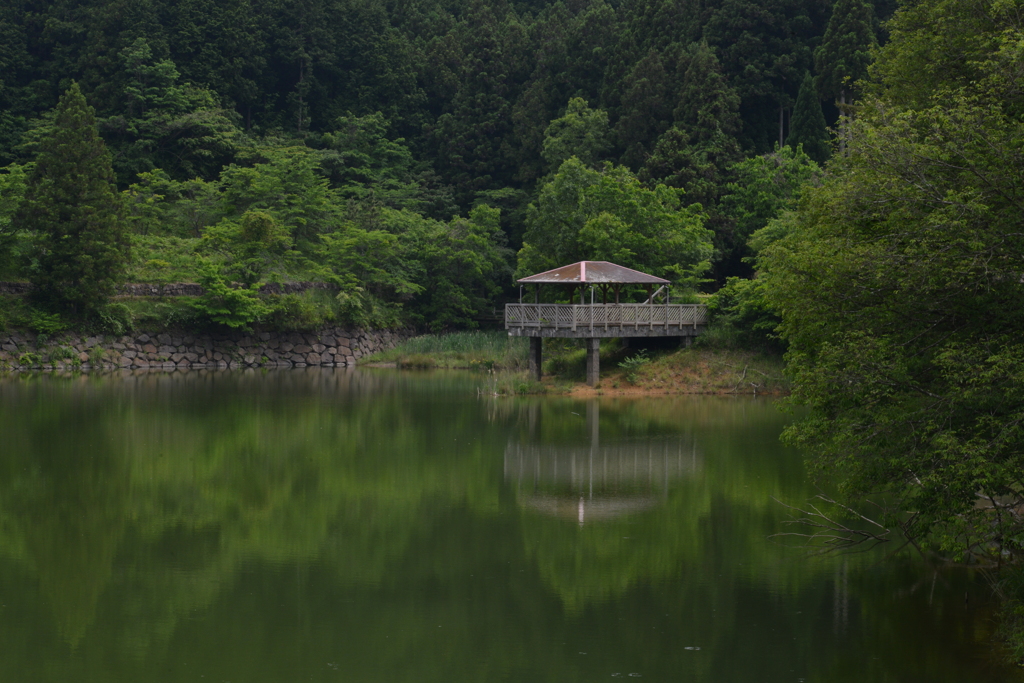静寂の池　①。。。！