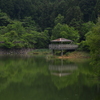 静寂の池　①。。。！