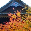 素敵な秋をありがとう　➁。。。！