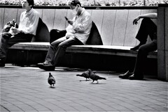 昼休み時間。。。！