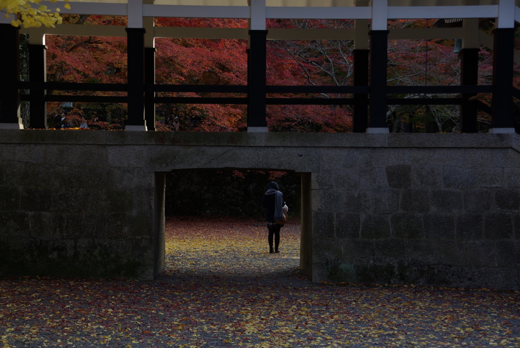 この秋に想い佇む。。。！