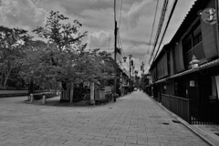 祇園白川。。。！