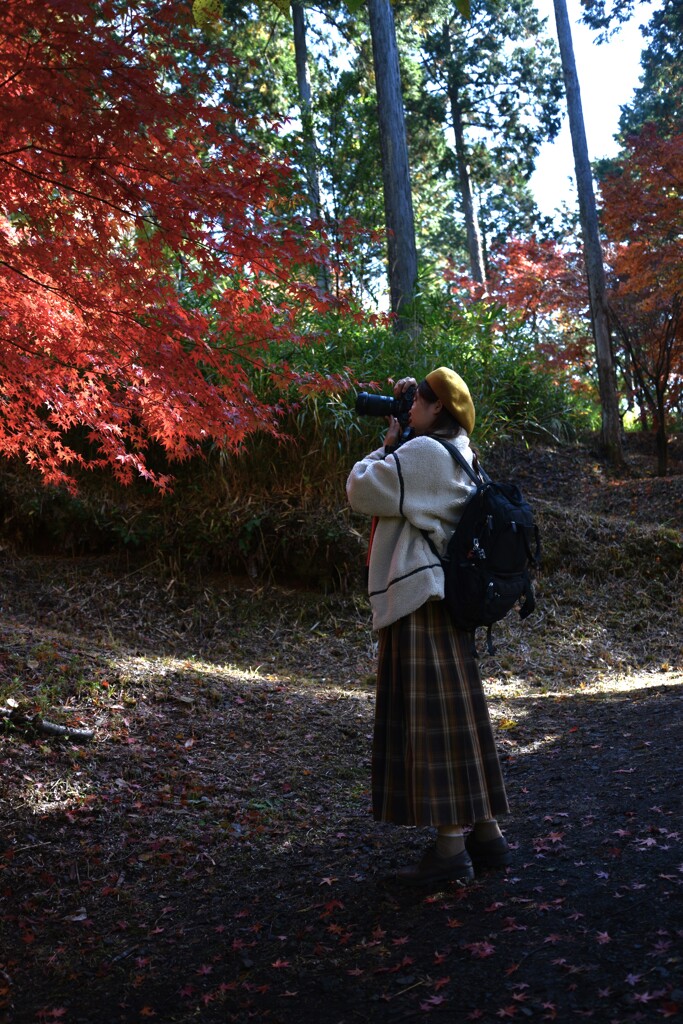 秋のぬすびと　。。。！