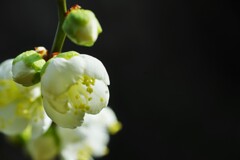 すくすく育て　①。。。！