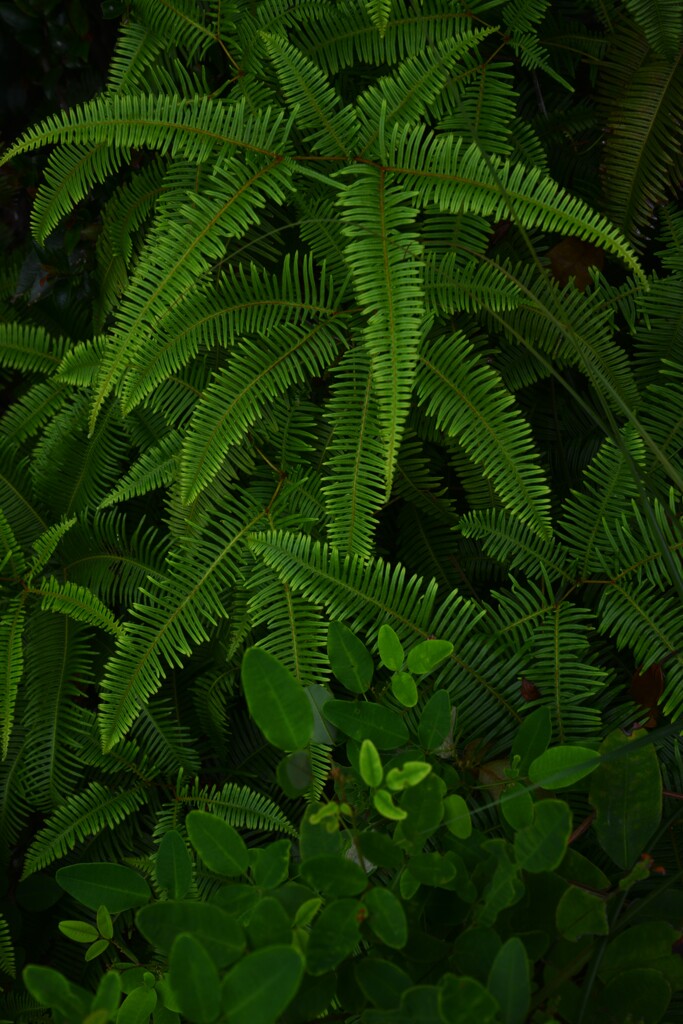 岬のみどり萌ゆる　②。。。！