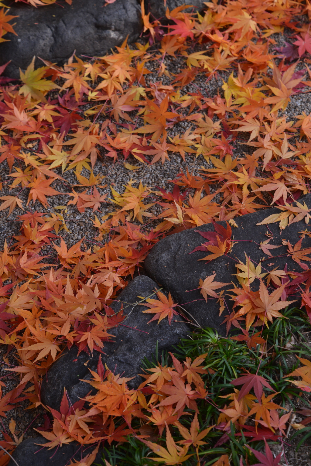 残秋の寺　②。。。！