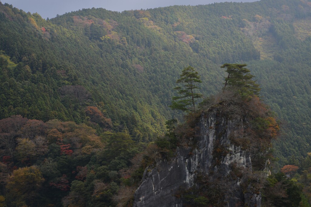 深秋の軍艦岩　②。。。！