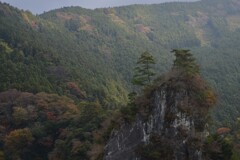 深秋の軍艦岩　②。。。！