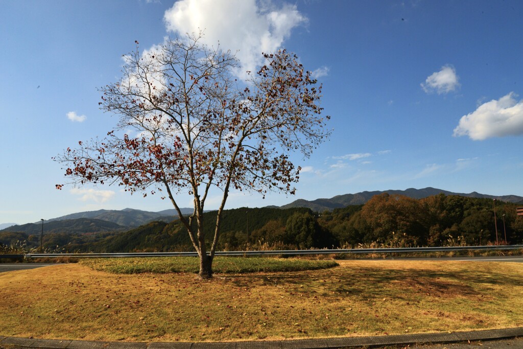晩秋の鐘。。。！