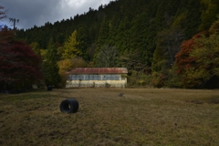 渓谷を歩く　３