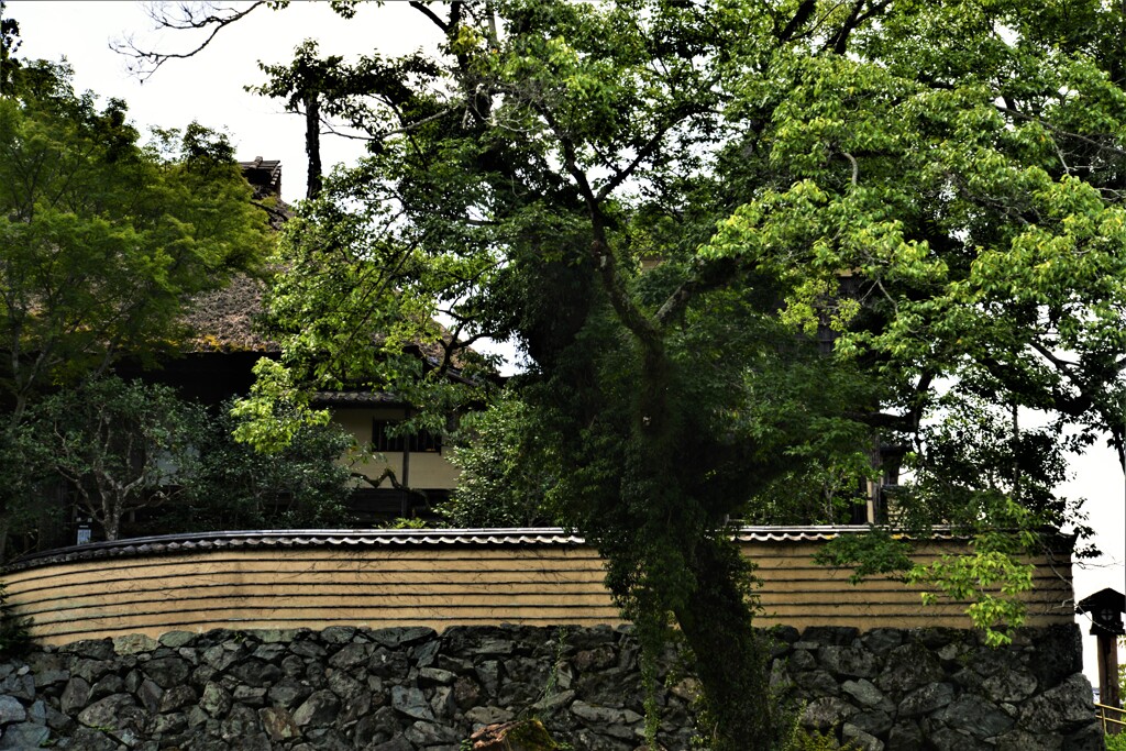 大洲．．臥龍山荘　➂。。。！
