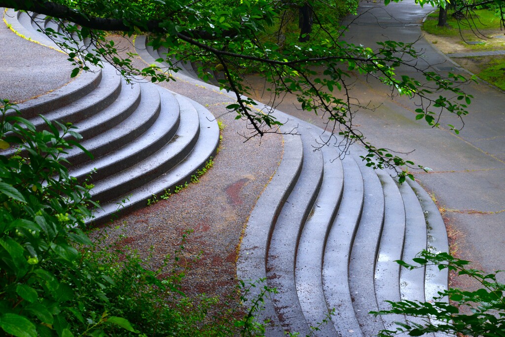 雨の公園　➂。。。！