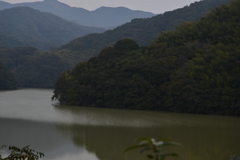 秋がまだ来ない　①。。。！