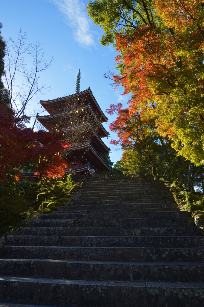 紅葉がよく似合う。。。！