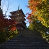 紅葉がよく似合う。。。！