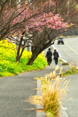 春ロードを走る　⑤。。。！