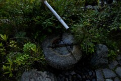 錦絵の古都【等持院編】　④