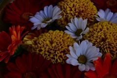 艶やかに　➂。。。！