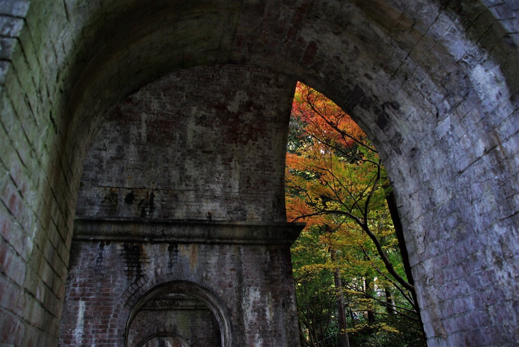 錦絵の古都【南禅寺編】　③