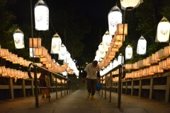 万灯の夜　④。。。！