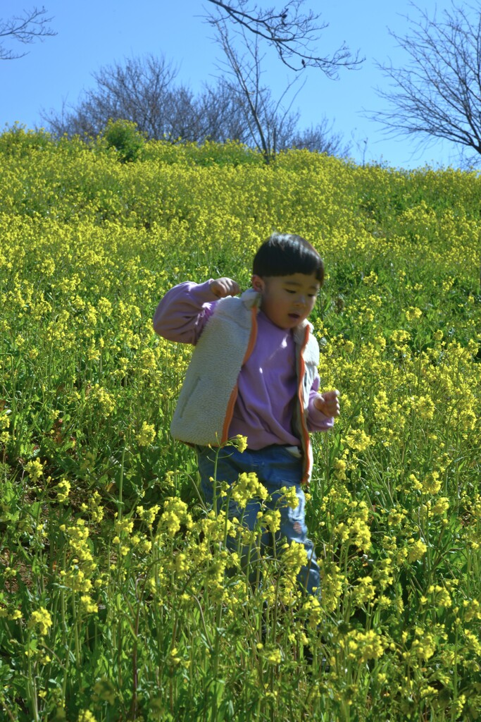 春を楽しむ　②。。。！