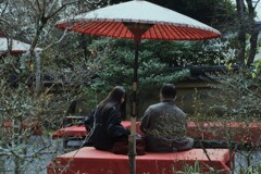 はんなり京都の過ごし方　。。。！