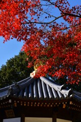 深秋の大宝寺　①。。。！