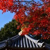 深秋の大宝寺　①。。。！