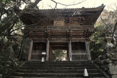 春日和の竹林寺　①。。。！