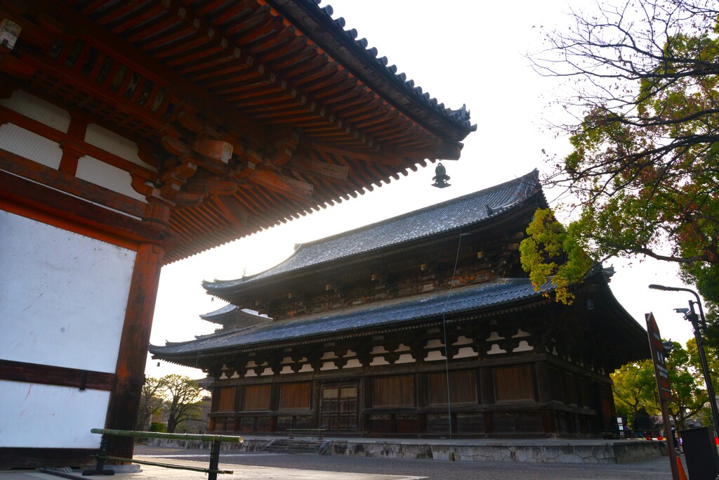 朝の東寺　➂。。。！