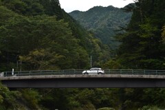 この秋を探して ①。。。! この秋を探して ①。。。!