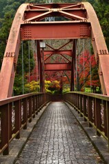 橋を渡ると秋の彩。。。！