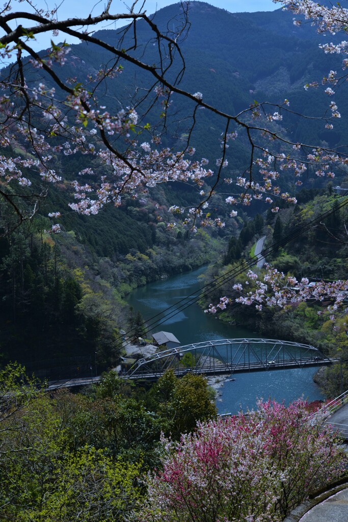 天界の花園　②。。。！