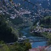 天界の花園　②。。。！