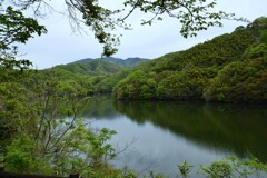 新緑の候　①。。。！
