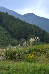 静かな里の秋　➁。。。！