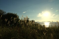 秋の洛陽　➁。。。！