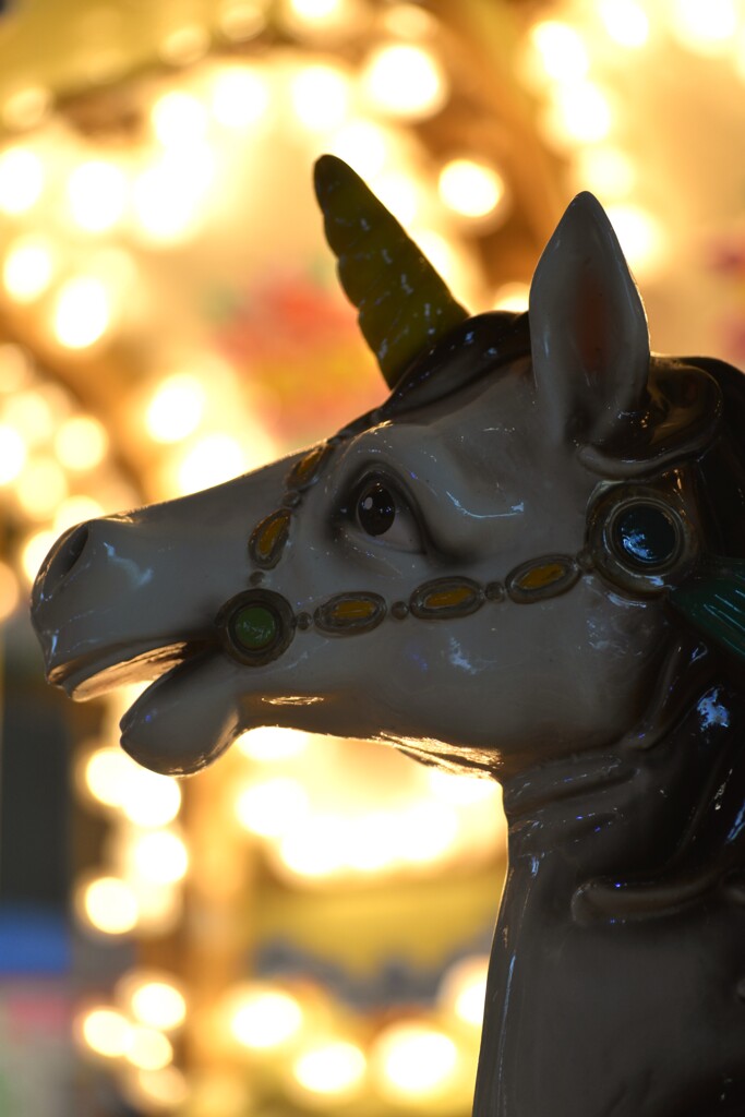 冬のメリーゴーランド　➂。。。！