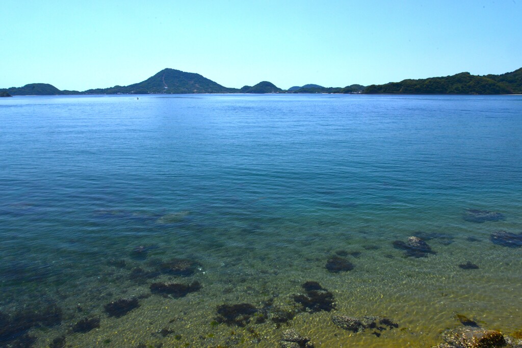 瀬戸の海　④。。。！