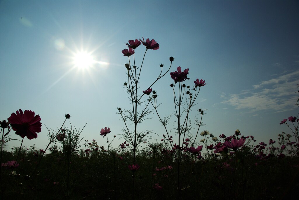 秋の宅配便　②　。。。！