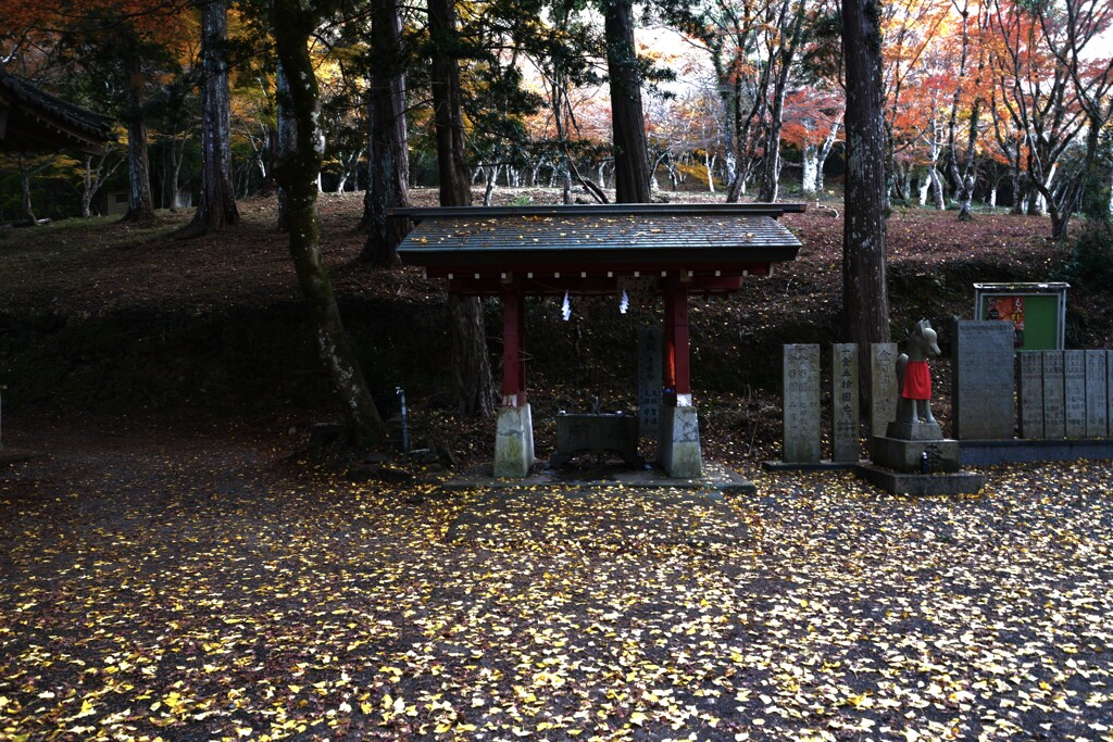 晩秋の迷宮への招待　④。。。！