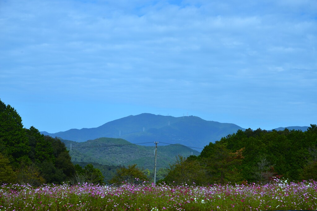 山の秋を惜しむ　①。。。！