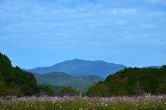 山の秋を惜しむ ①。。。! 山の秋を惜しむ ①。。。!