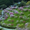 花園の小径。。。！