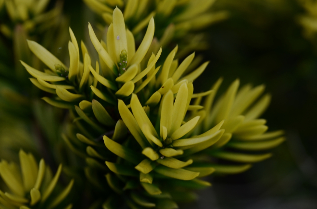 秋を告げる足音　⑤　。。。！