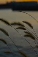 裏悲しきは秋の夕暮れ　。。。！