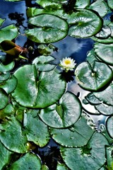 憂いを漂わせ　②。。。！