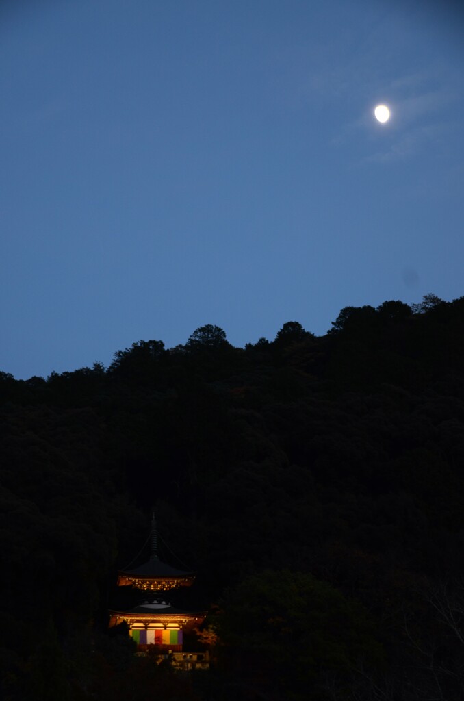 おぼろ月夜　。。。！